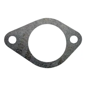 BRTVA TERMOSTATA CASE