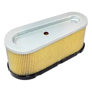 FILTER ZRAKA BRIGGS 184x72/60x78