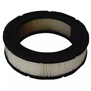 FILTER ZRAKA B&S