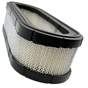 FILTER ZRAKA B&S