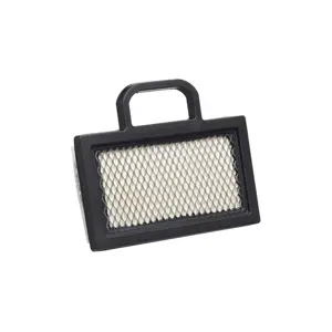 FILTER ZRAKA B&S