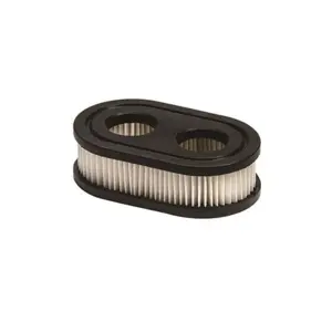 FILTER ZRAKA B&S 550E