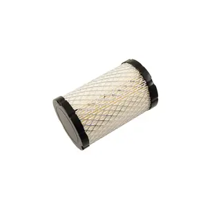 FILTER ZRAKA B&S