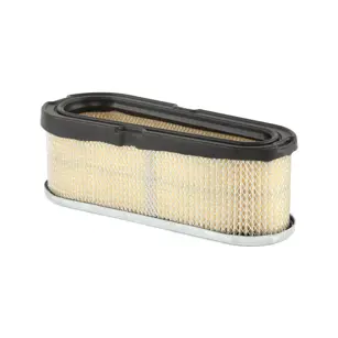 FILTER ZRAKA B&S