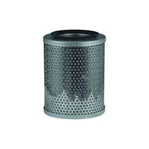 FILTER ZRAKA TORPEDO, DF, FENDT V.