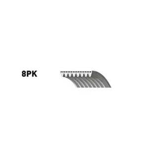 REMEN 8PK 1555 HD DAYCO