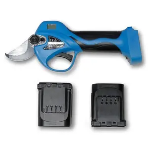 skare-baterijske-ramda-168v40ah-2-baterije-punjac-62276-235656.webp