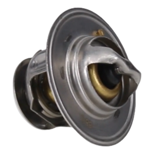 TERMOSTAT CASE, NH, STEYR