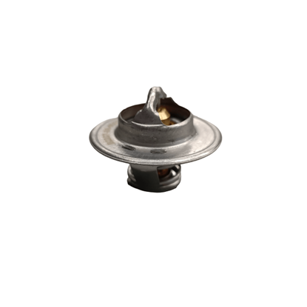 TERMOSTAT IMT,TAM
