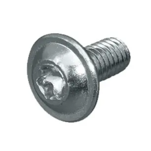 VIJAK  M 6X 16 TORX SCHUMACHER