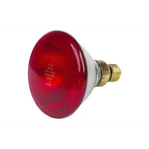 ŽARULJA INFRACRVENA 175W 230V CRVENA